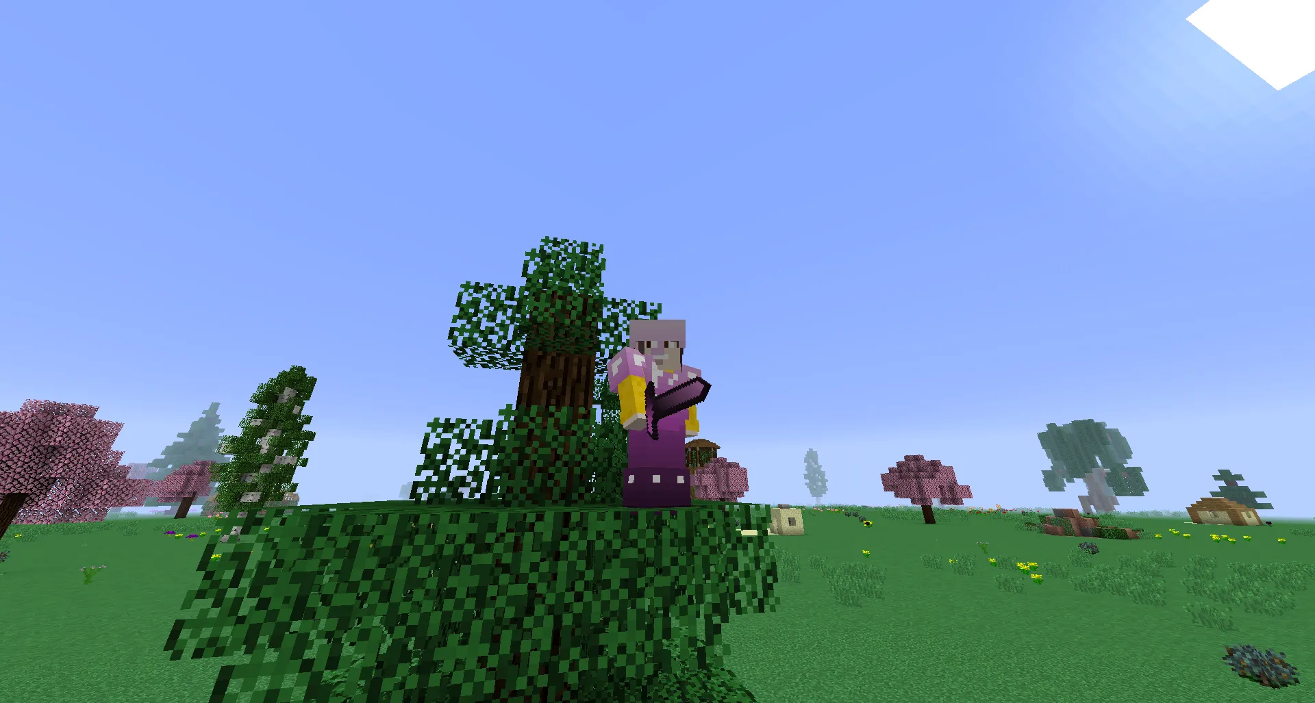 SUUM, Моды, Minecraft