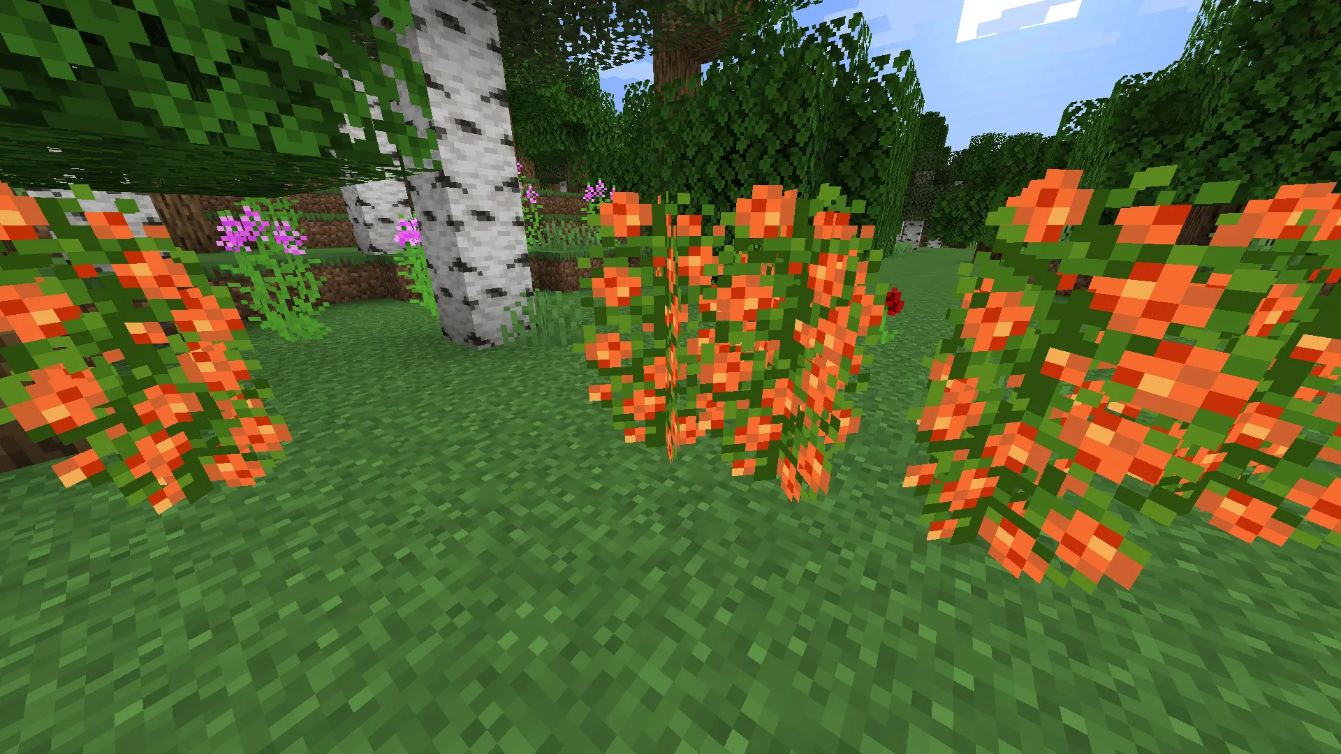 Nature's Expert — скриншот 4 (Моды, Minecraft)