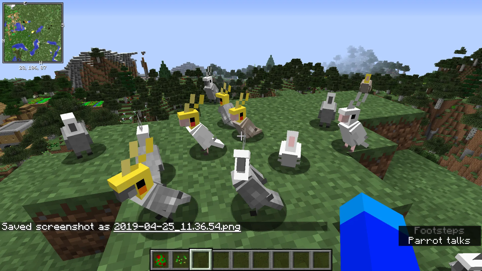 OOPS! All cockatiels(Now with sound!) — скриншот 4 (Текстуры, Minecraft)