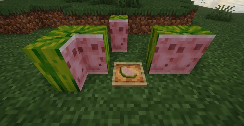 Better Melon, Моды, Minecraft