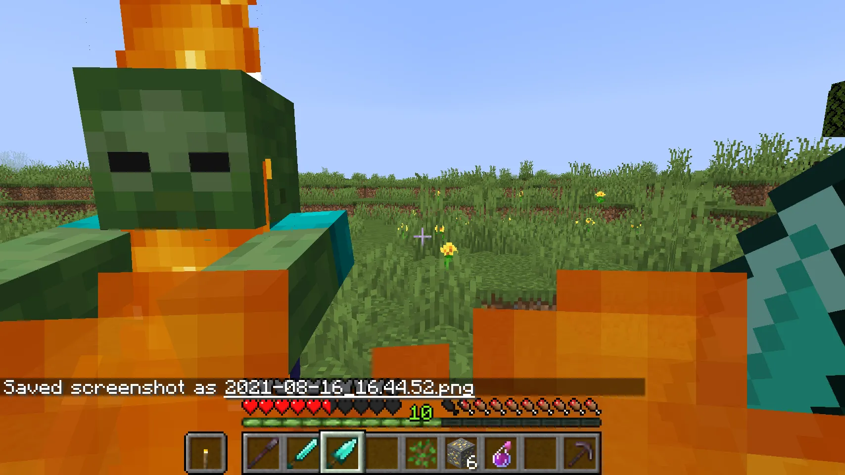 Assassin, Моды, Minecraft