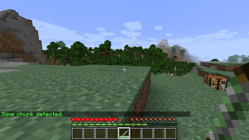 SlimeDetector (Forge), Моды, Minecraft