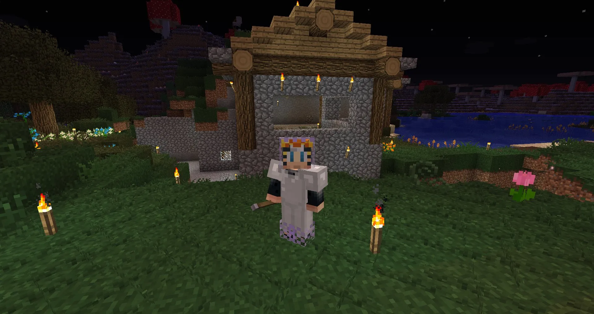 Medieval Times, the Dragon era, Модпаки, Minecraft