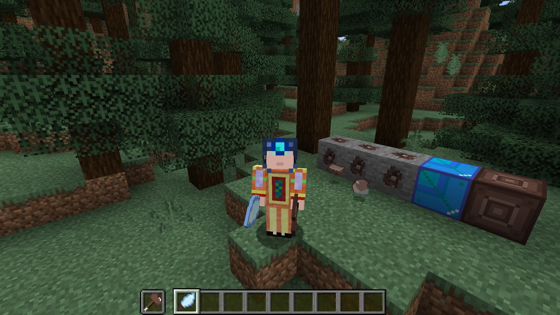 What's next?, Моды, Minecraft