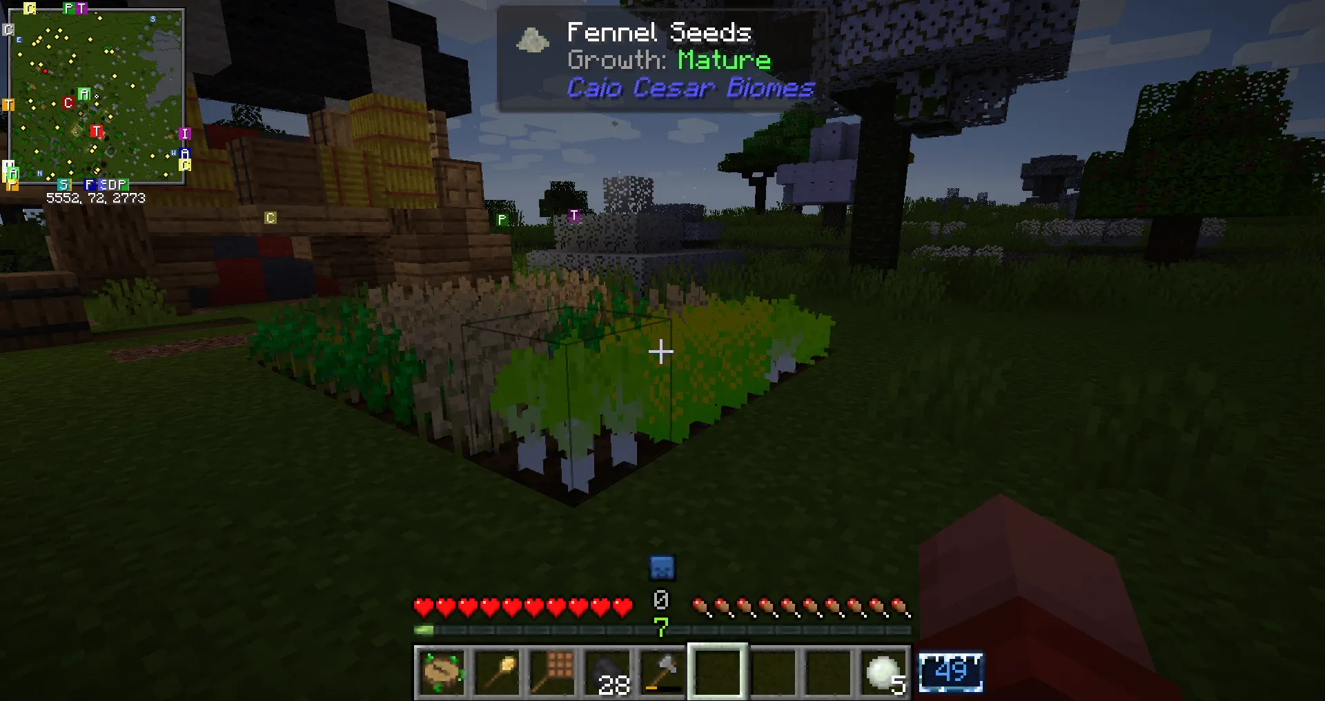 Caio Cesar's Biomes and Seasons, Моды, Minecraft