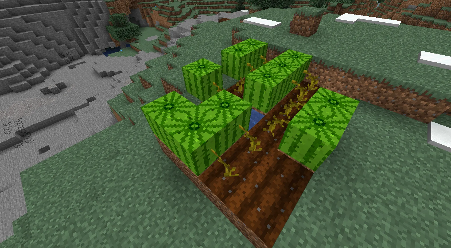 Lz Ripe Melon, Текстуры, Minecraft