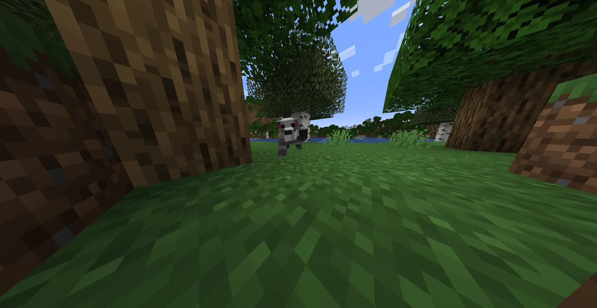 Warrior Cats Events, Моды, Minecraft