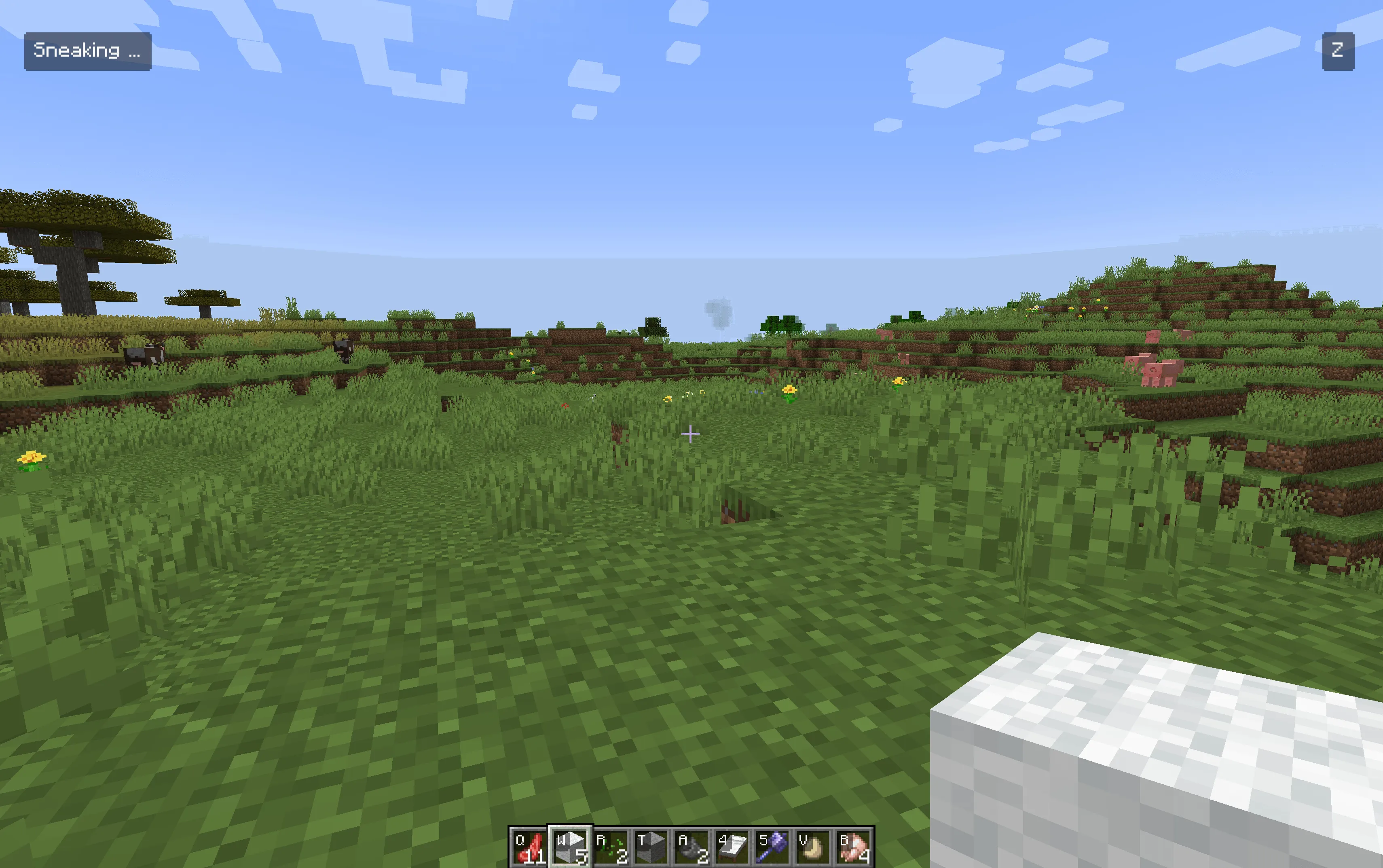 PVP Trainer, Моды, Minecraft