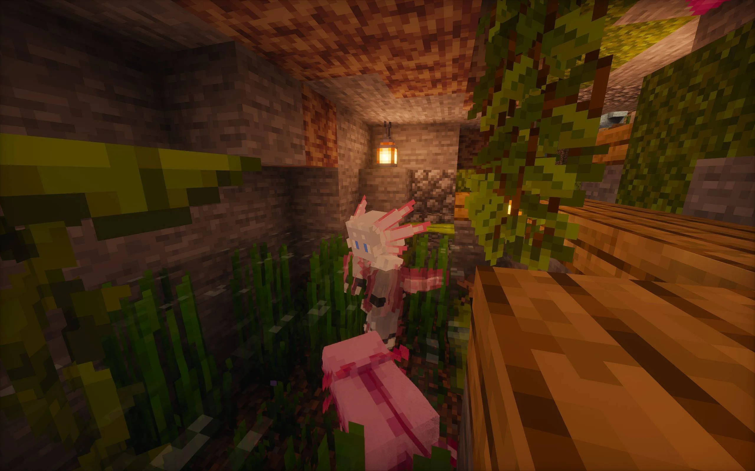 Shape Shifter Curse, Моды, Minecraft