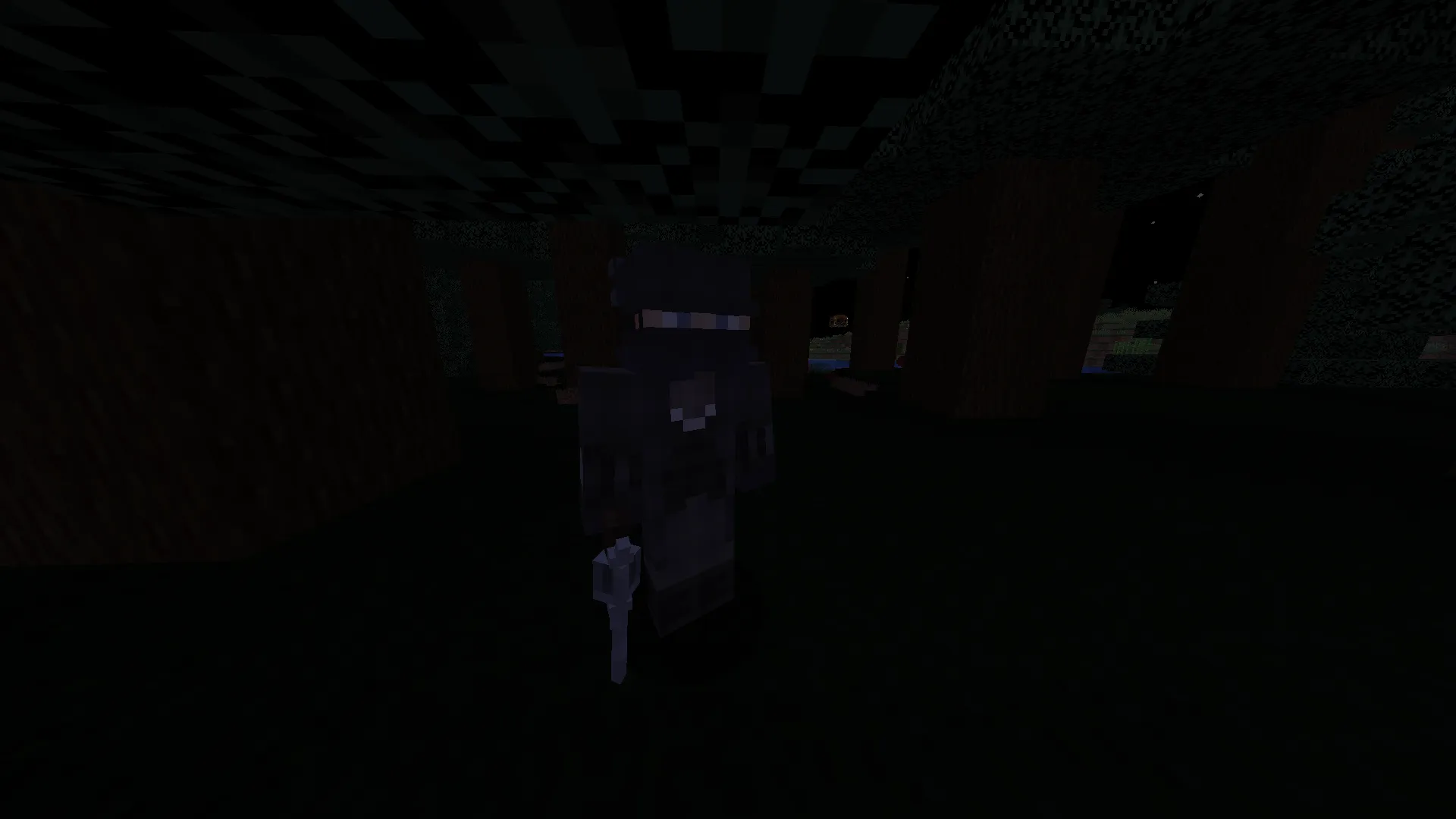 Schizophrenic RPG mod, Моды, Minecraft