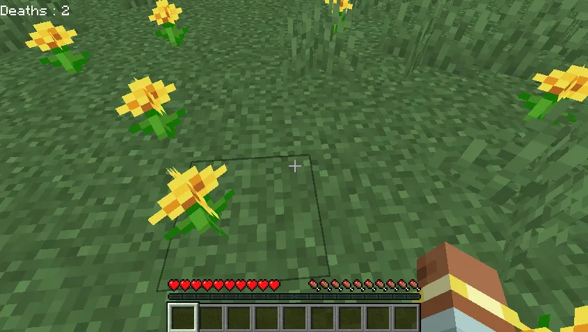 DeathNumber, Моды, Minecraft