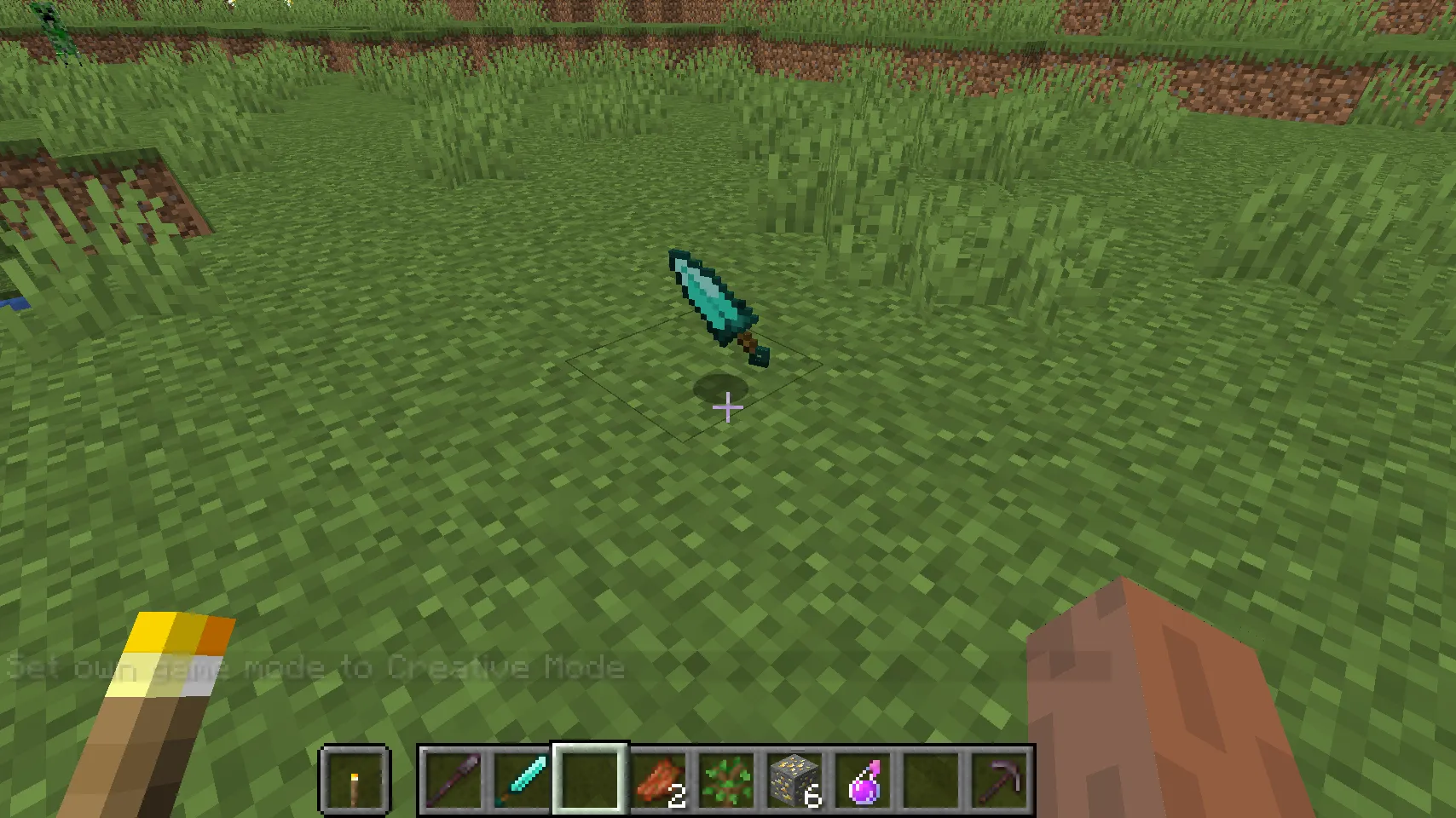 Assassin, Моды, Minecraft