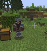 DynamicNameplates, Моды, Minecraft