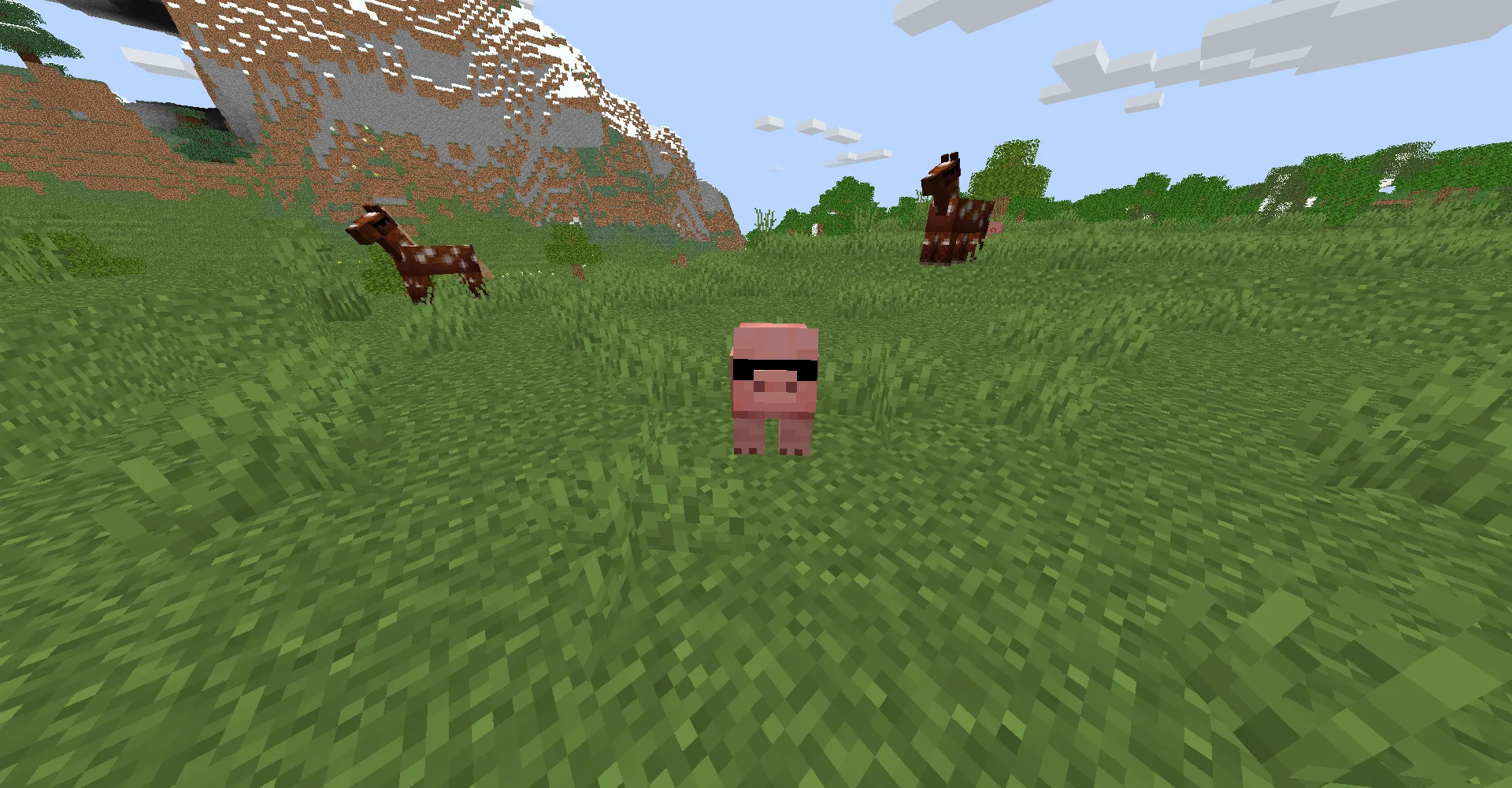 The Coolest Pack — скриншот 1 (Текстуры, Minecraft)