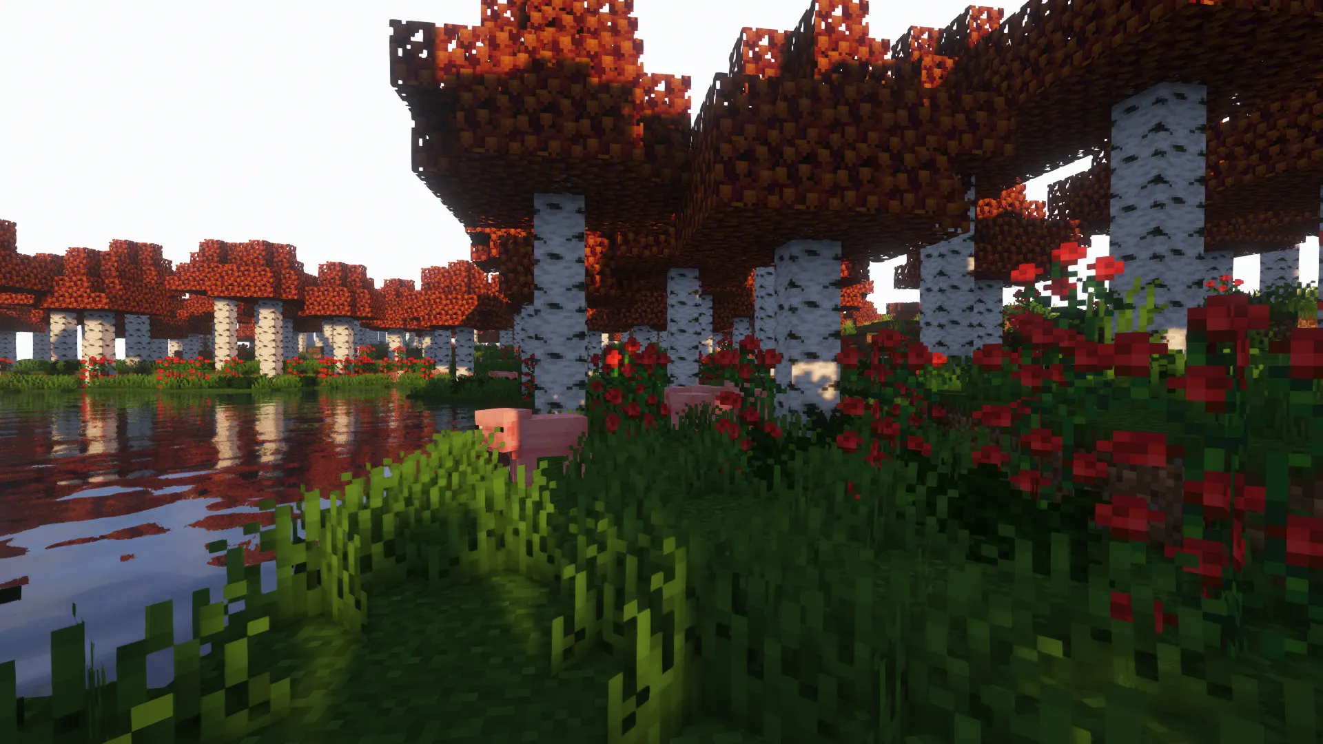 Biomes far away!, Моды, Minecraft