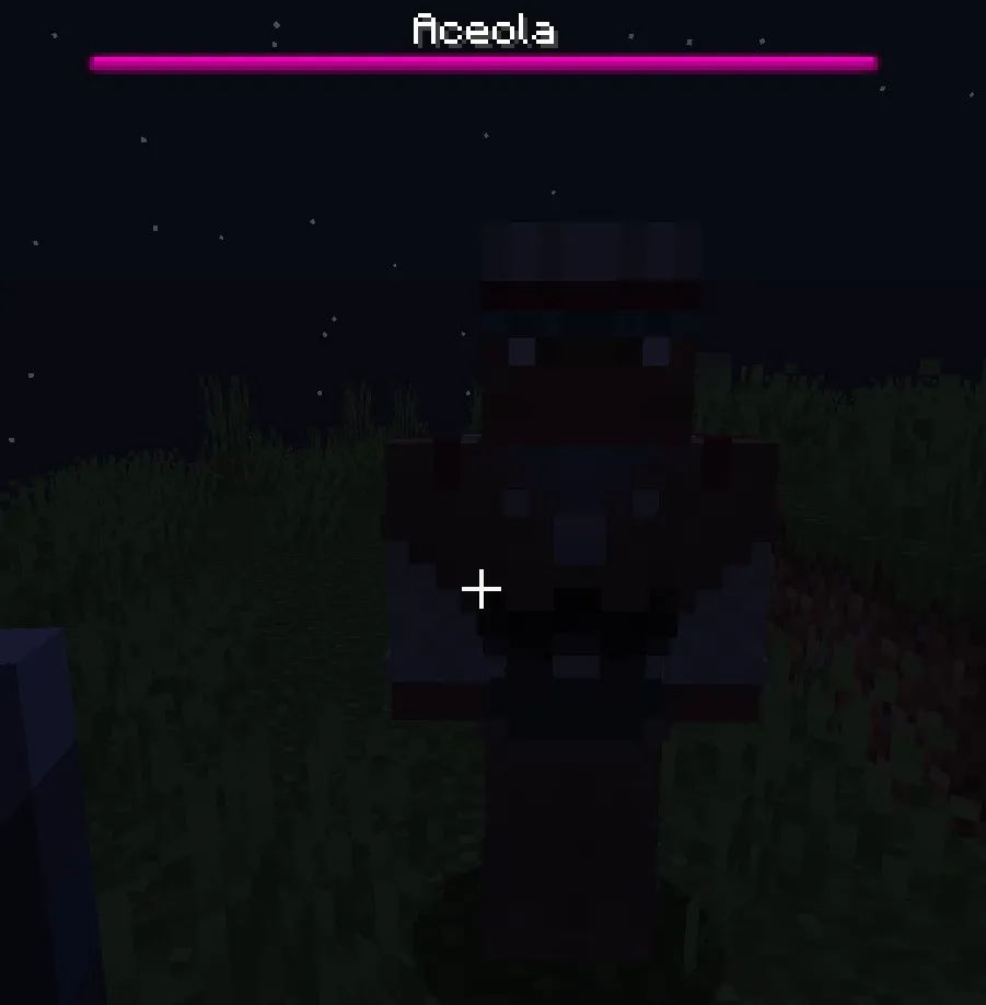CarnageAddon, Моды, Minecraft