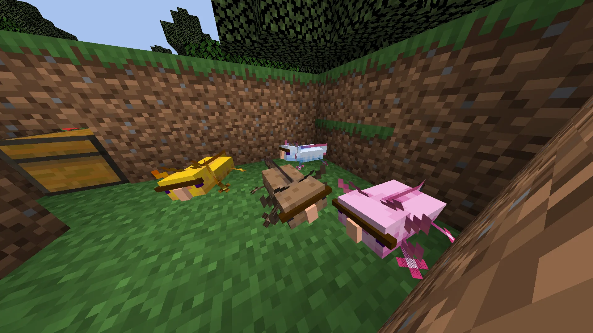 Axolotls with hats (vanilla/barebones version) — скриншот 3 (Текстуры, Minecraft)