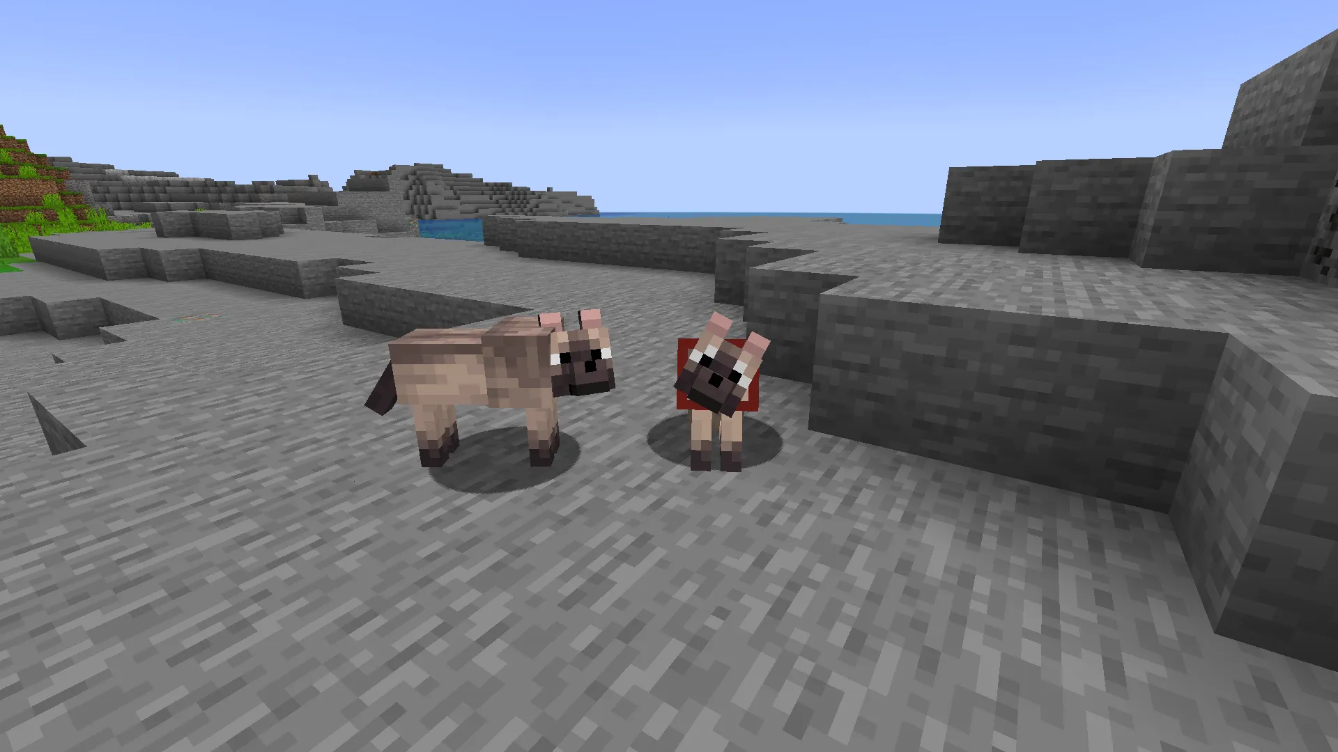 Chestnut Wolf Backport, Текстуры, Minecraft