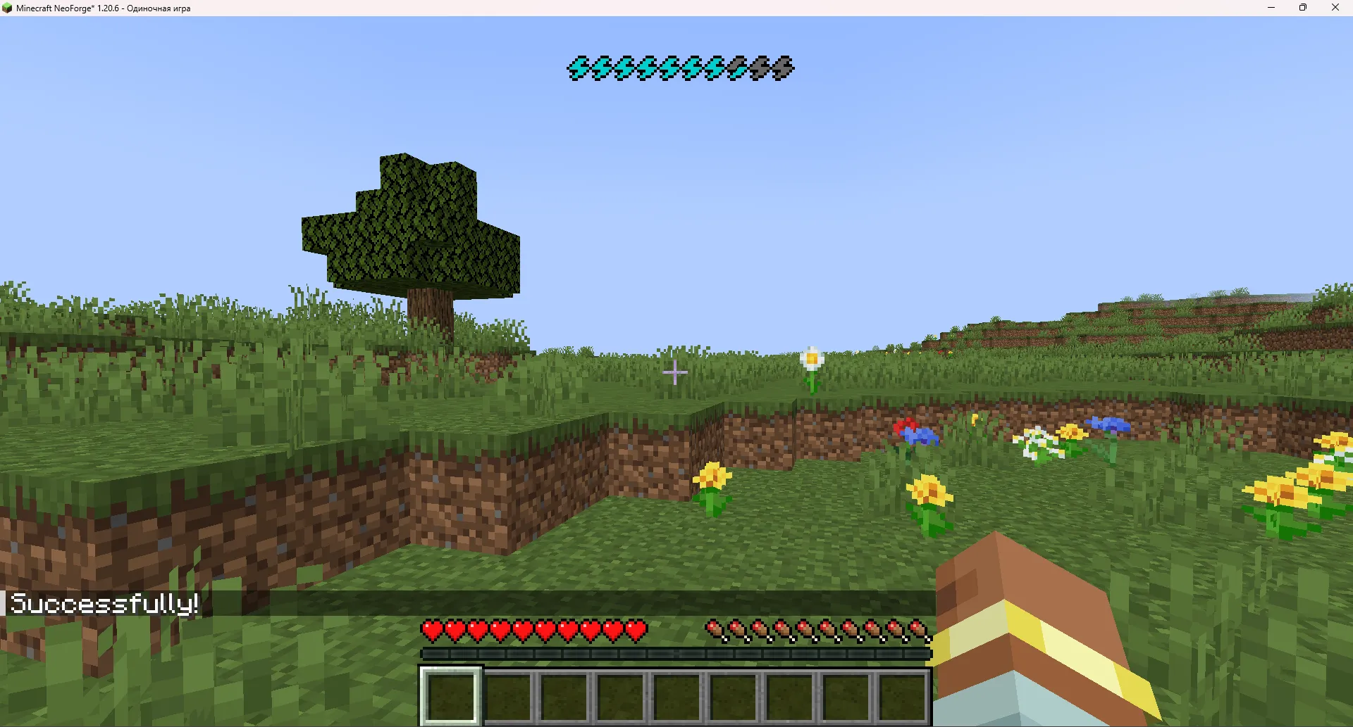 Energy Stamina, Моды, Minecraft