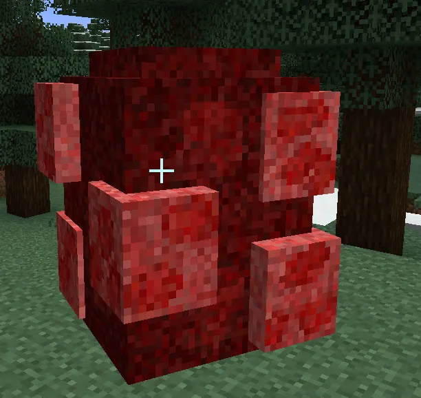 Vita Carni (Vita Carnis), Моды, Minecraft