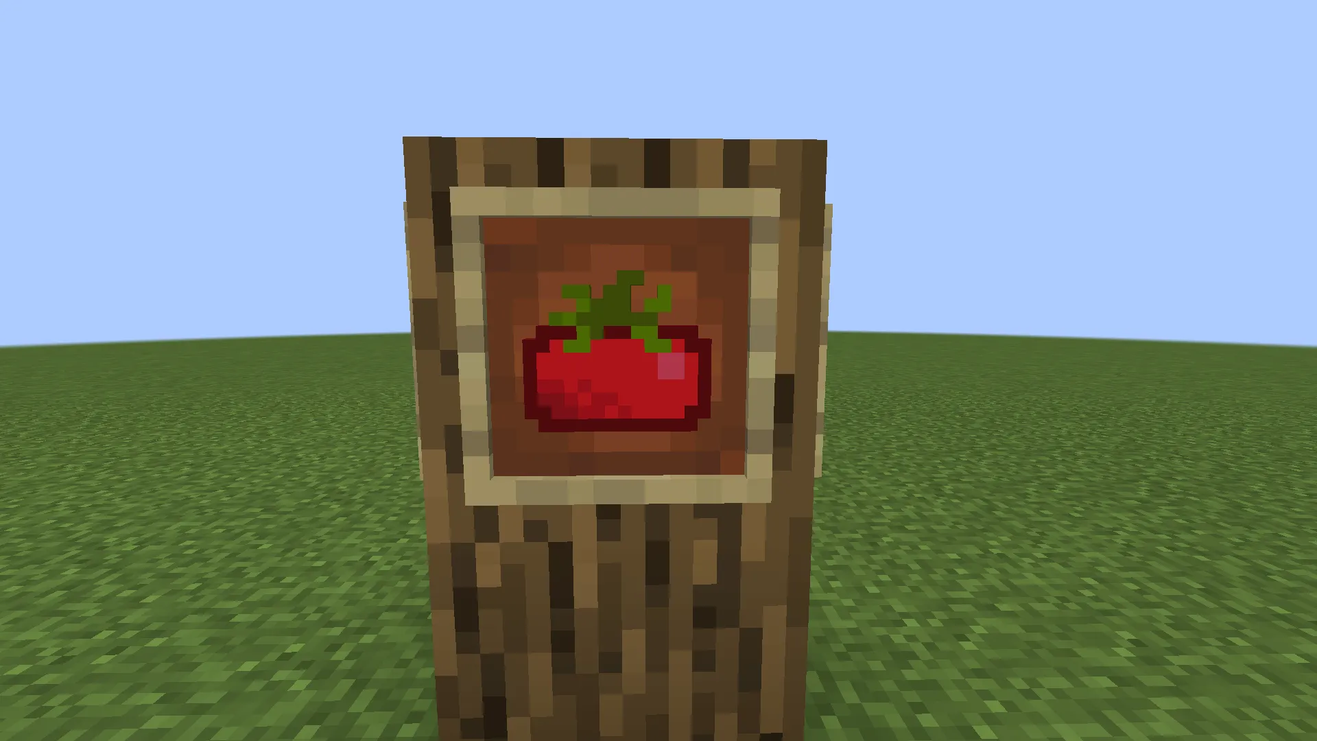 TomatoCraft, Моды, Minecraft