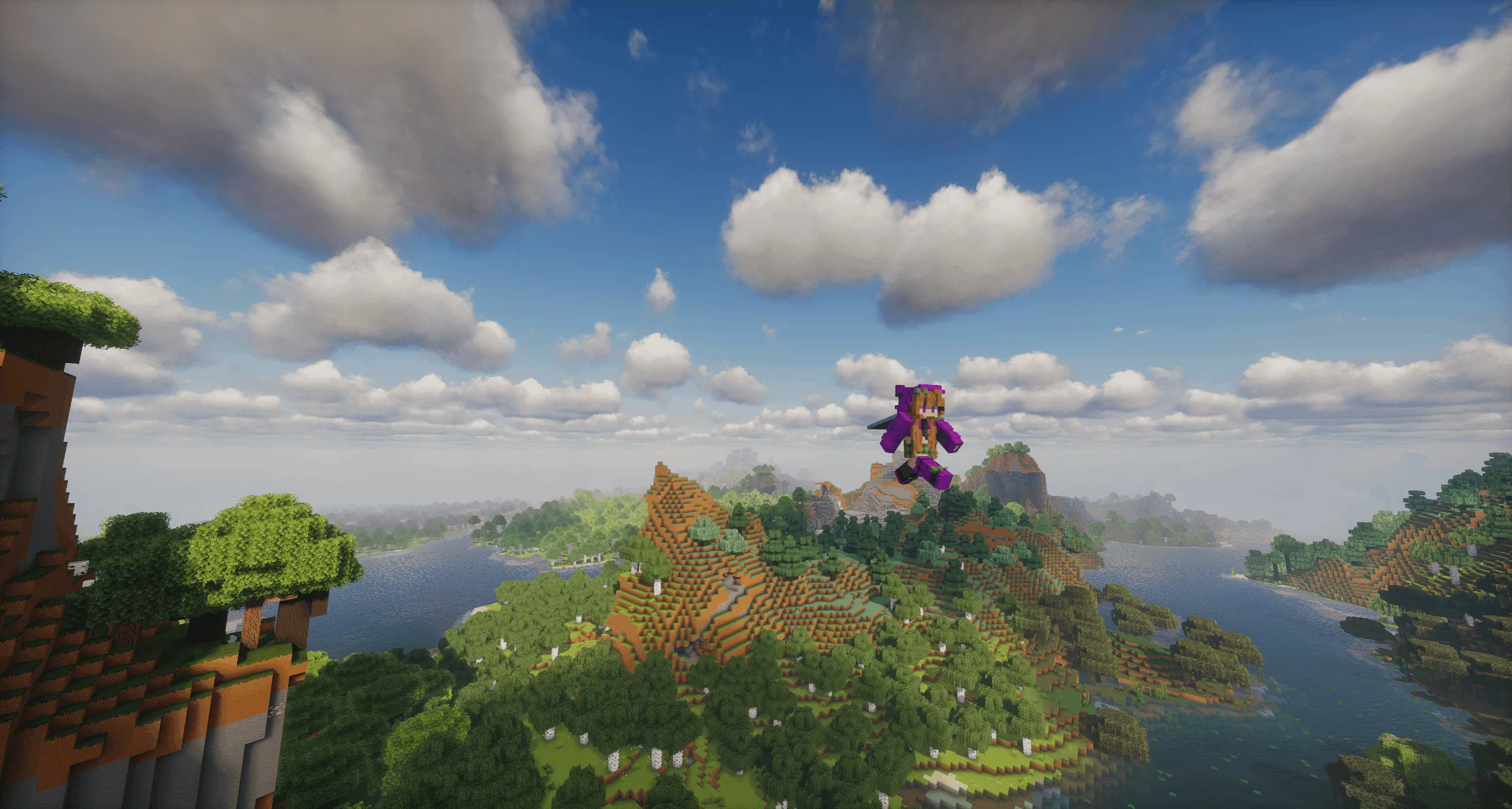 Fly Hack, Моды, Minecraft