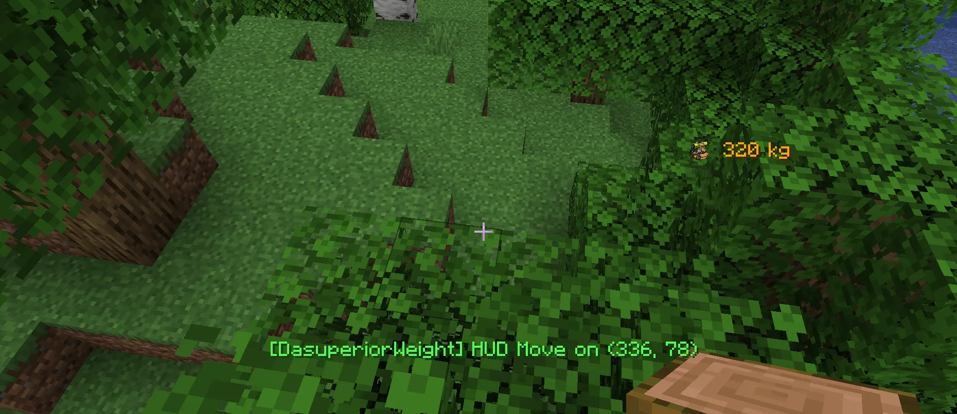 DasuperiorWeight 2.0 - Weight System — скриншот 3 (Моды, Minecraft)