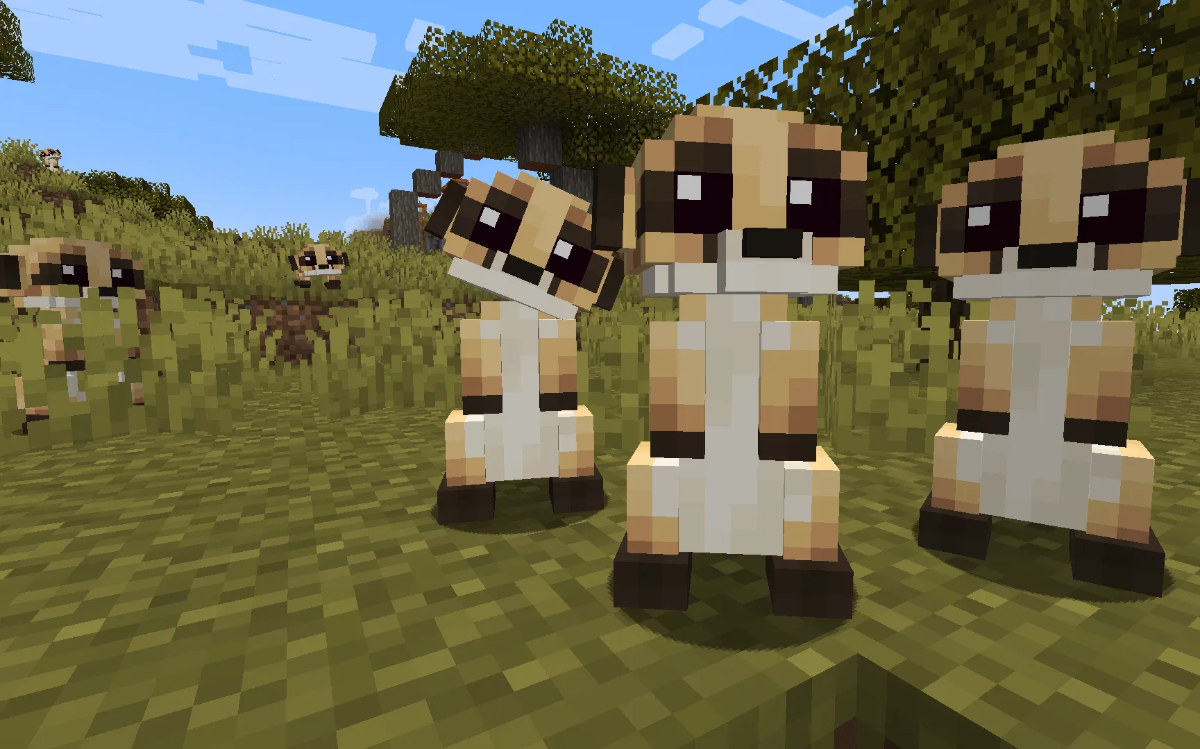 Animal Garden - Meerkat — скриншот 3 (Моды, Minecraft)