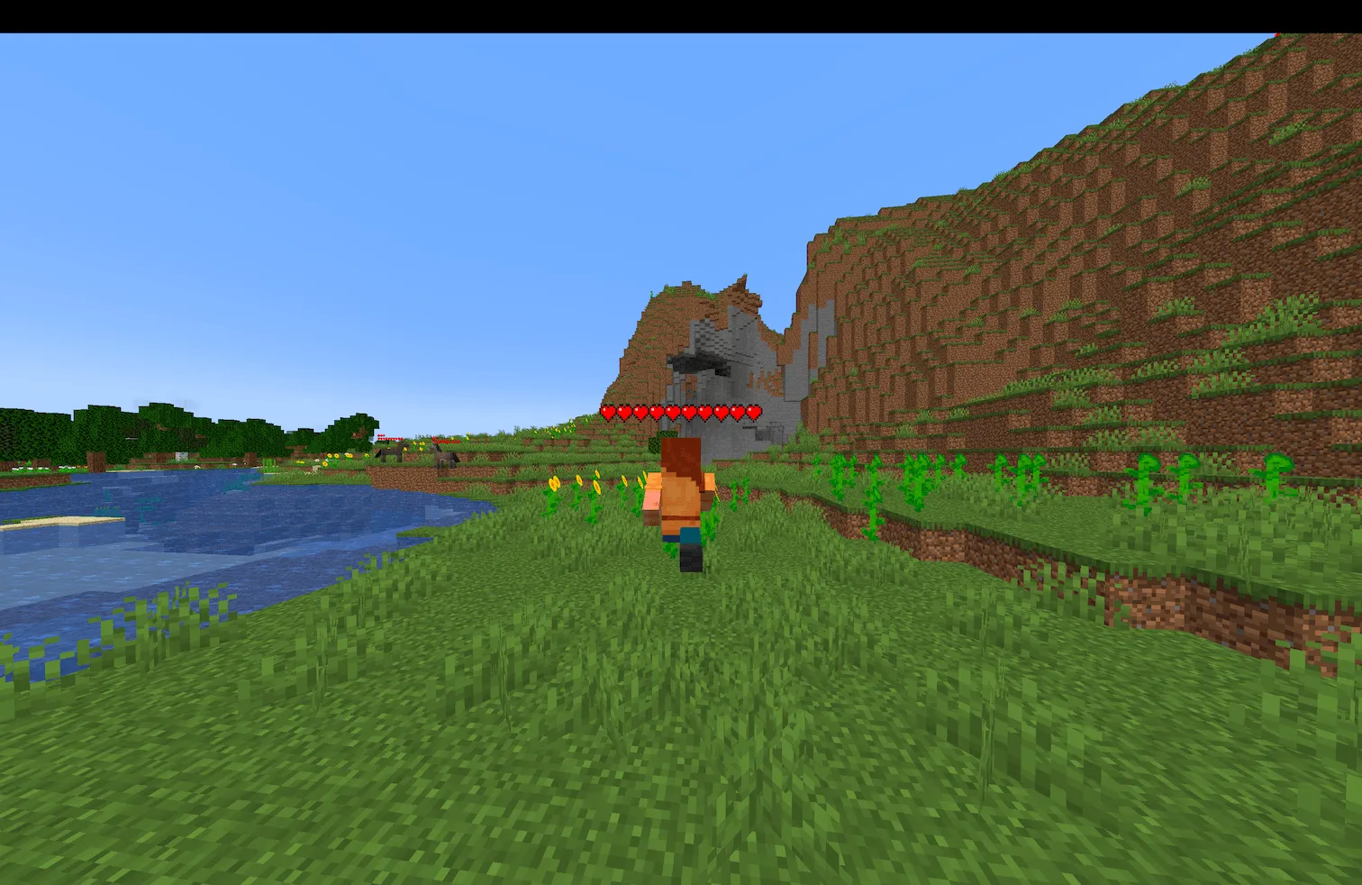 Health Indicators, Моды, Minecraft