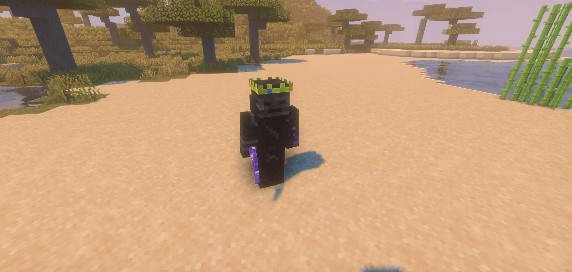 Vizer, Моды, Minecraft