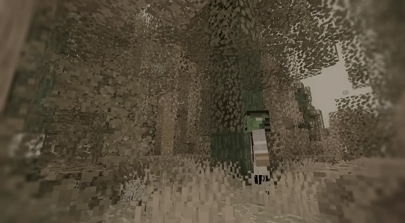 RoJo's Wack Pack, Моды, Minecraft