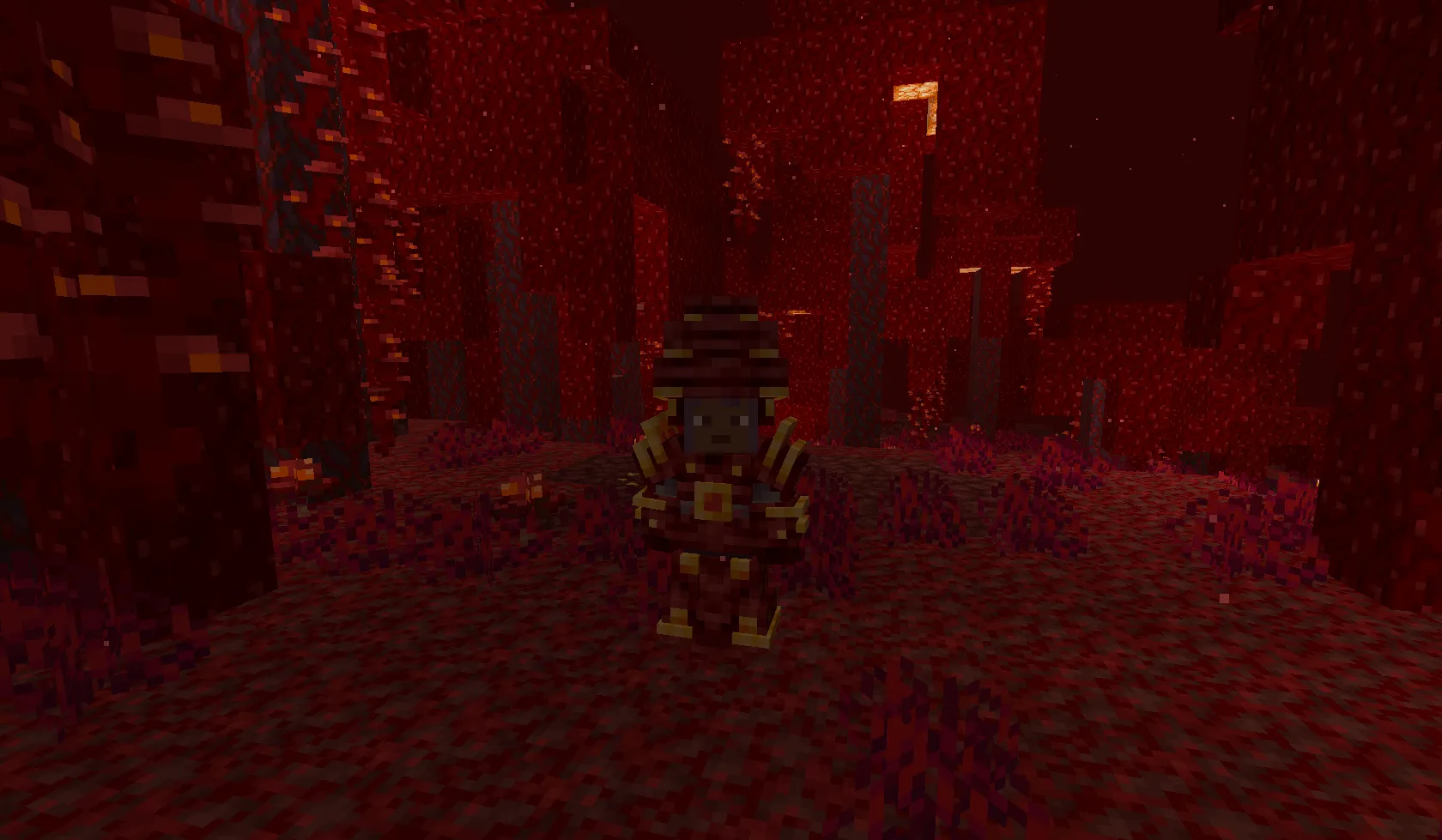 Nether Armory, Моды, Minecraft