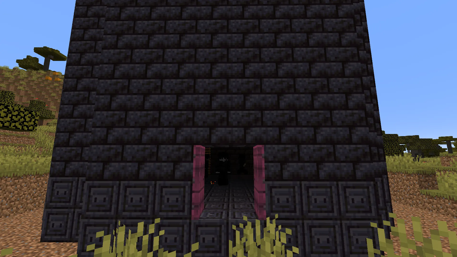 Spells and Fantasy — скриншот 7 (Моды, Minecraft)