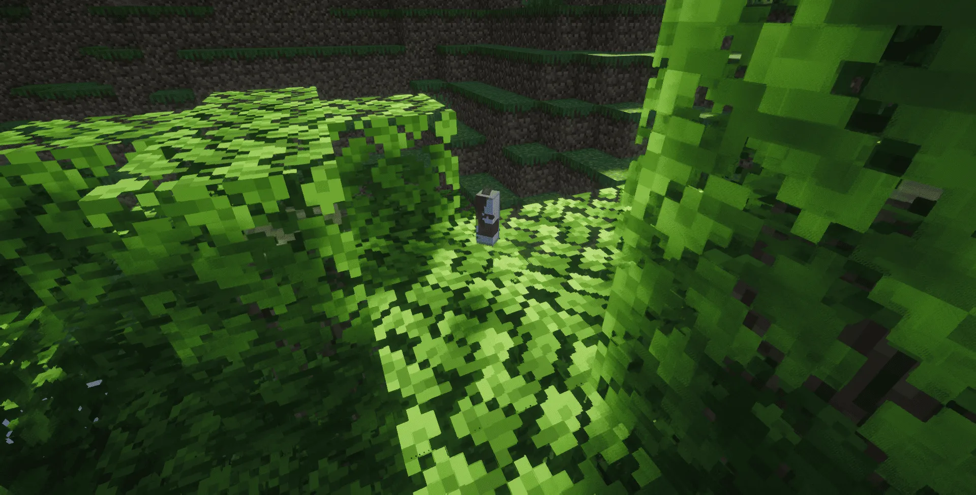 The Dopamine Update — скриншот 5 (Моды, Minecraft)