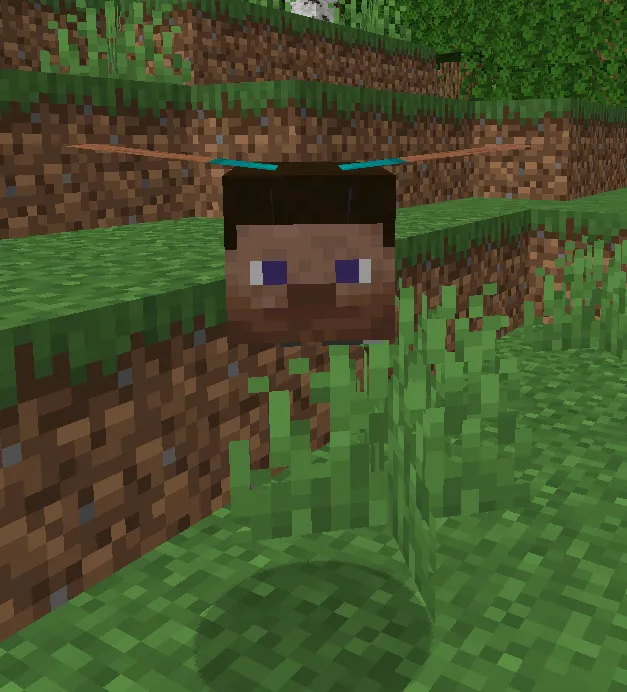 Everyone is Steve, Текстуры, Minecraft