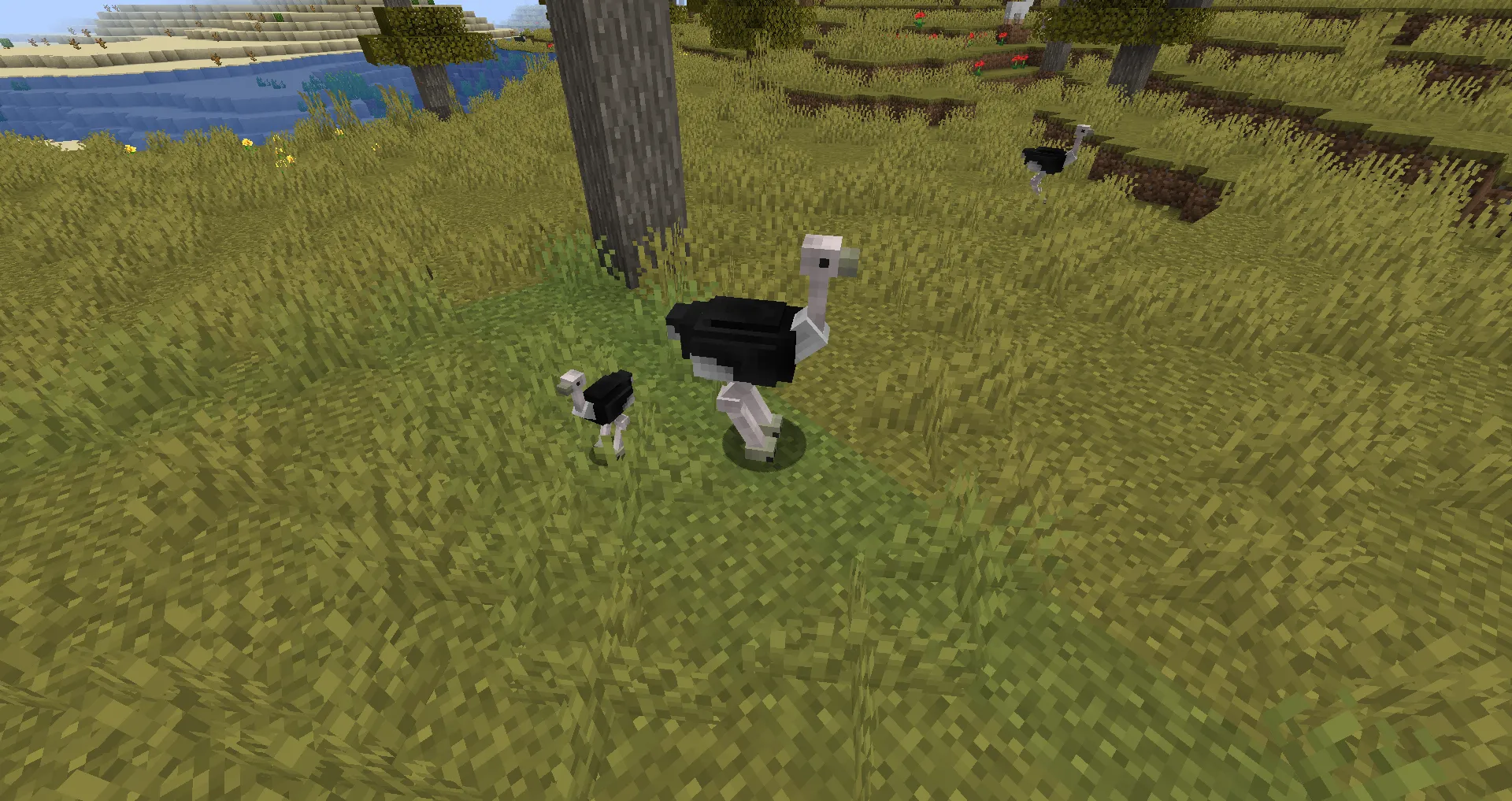 Colds: Ostriches (FORGE) — скриншот 3 (Моды, Minecraft)