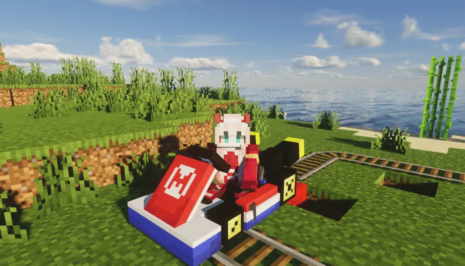 Mario Minecart, Текстуры, Minecraft