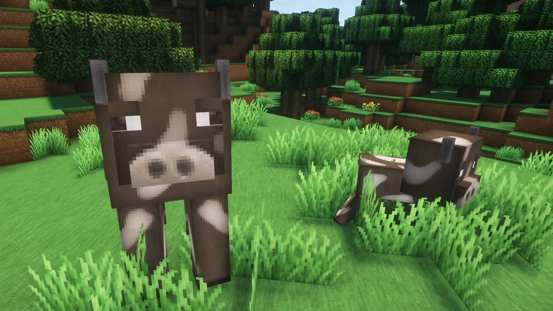 Soartex Forever - Fresh Animations — скриншот 5 (Текстуры, Minecraft)