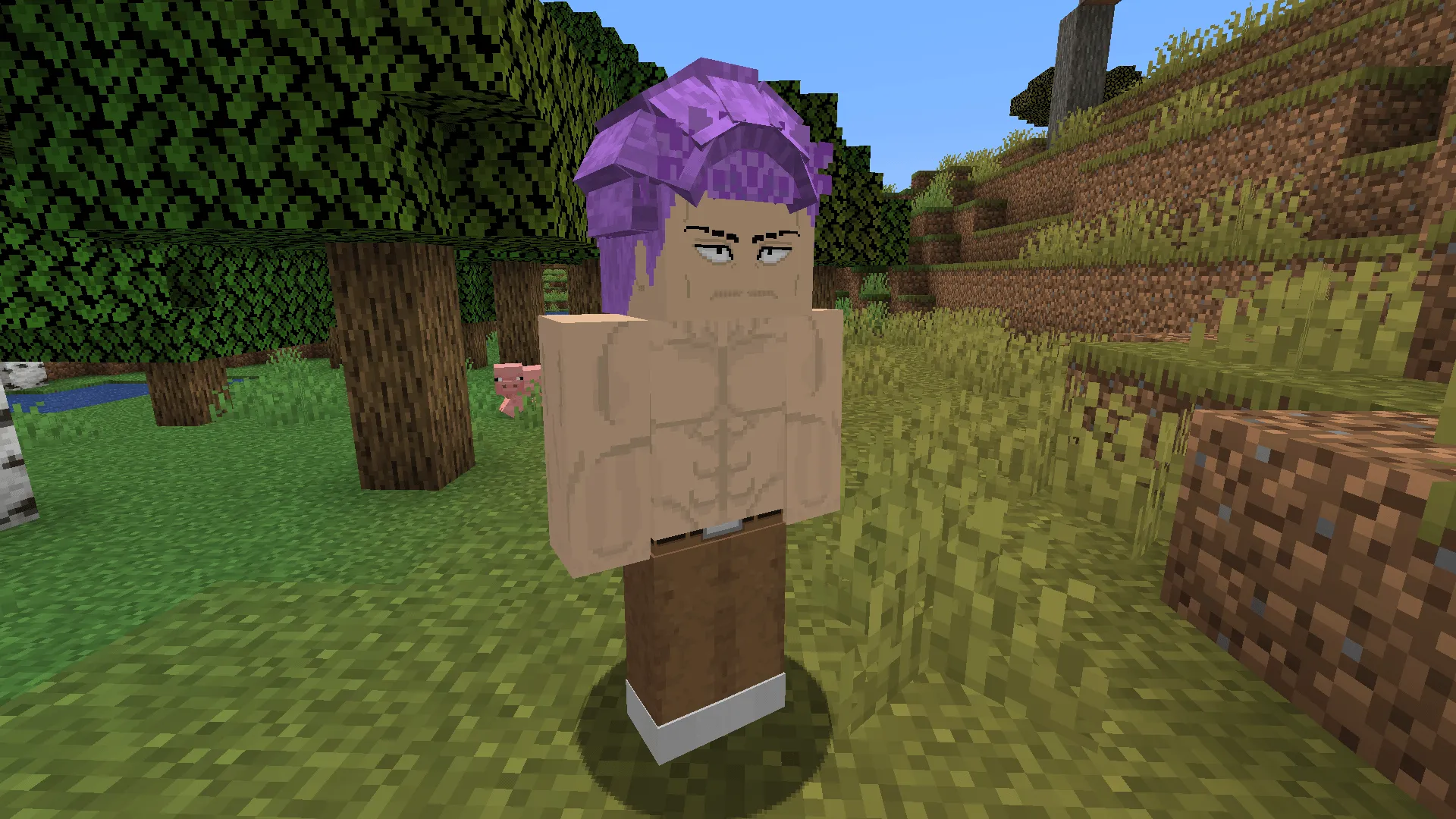 Better Jujutsu Craft, Текстуры, Minecraft