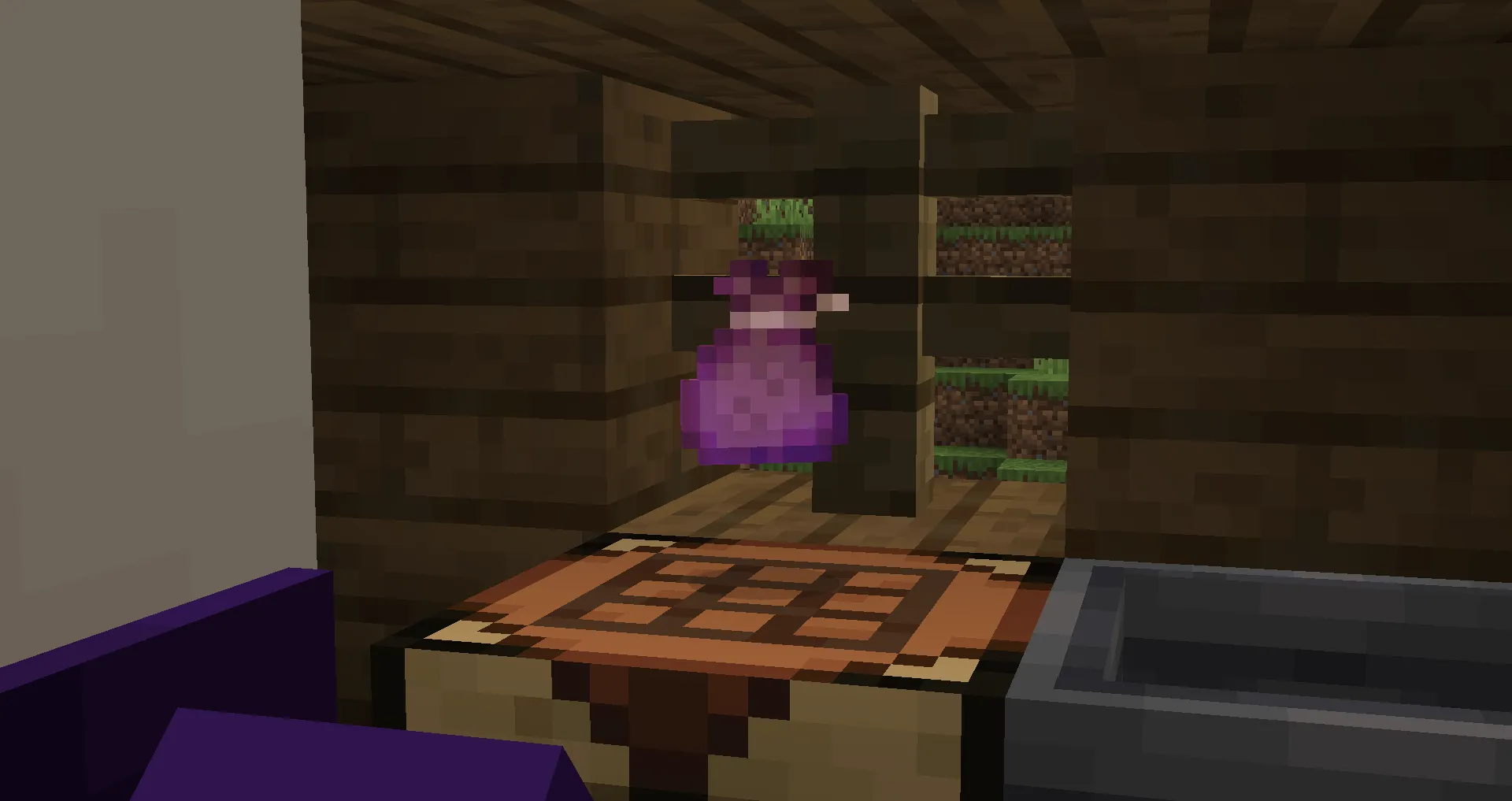 Experience Pouches, Текстуры, Minecraft