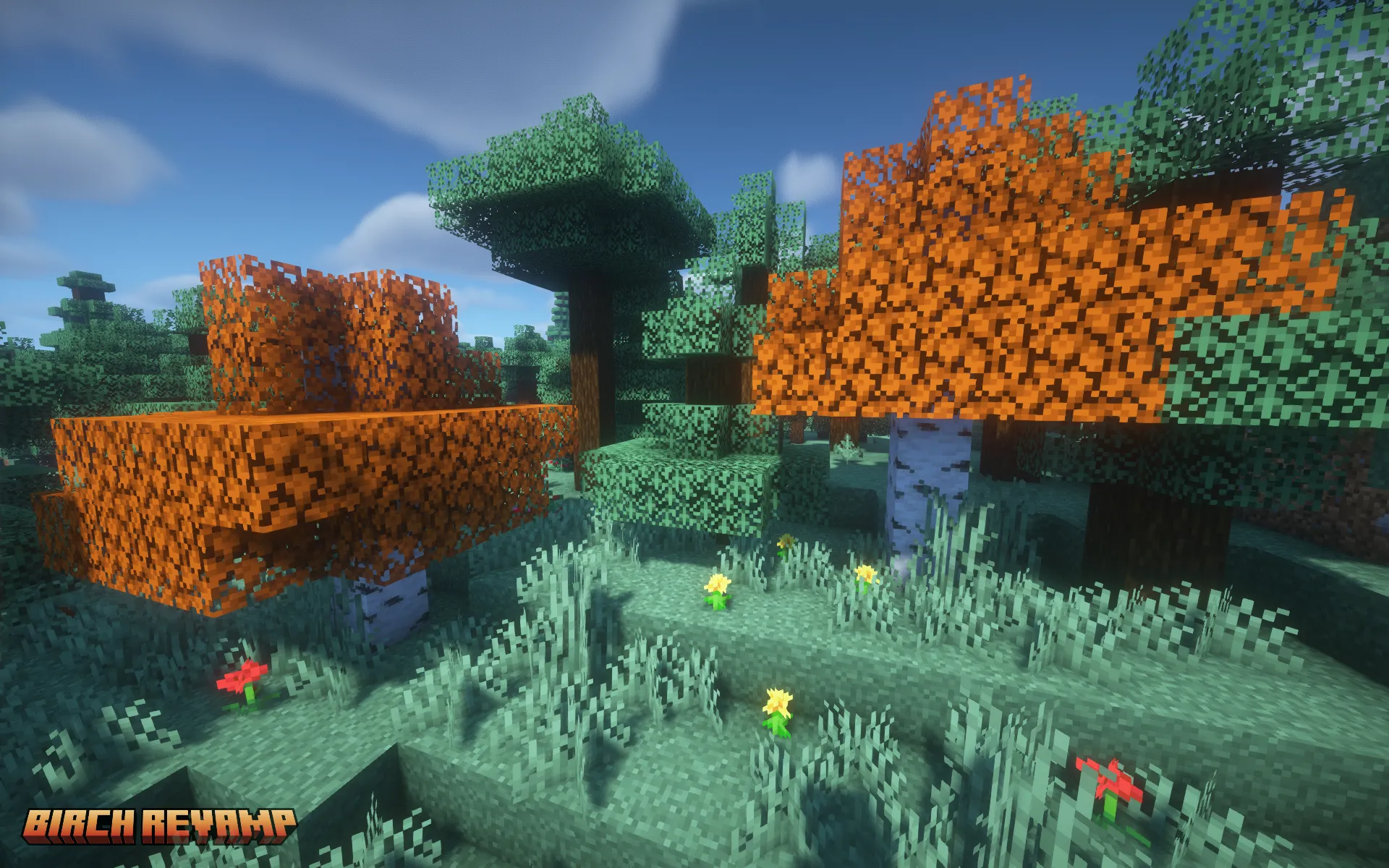 Birch Revamp, Текстуры, Minecraft