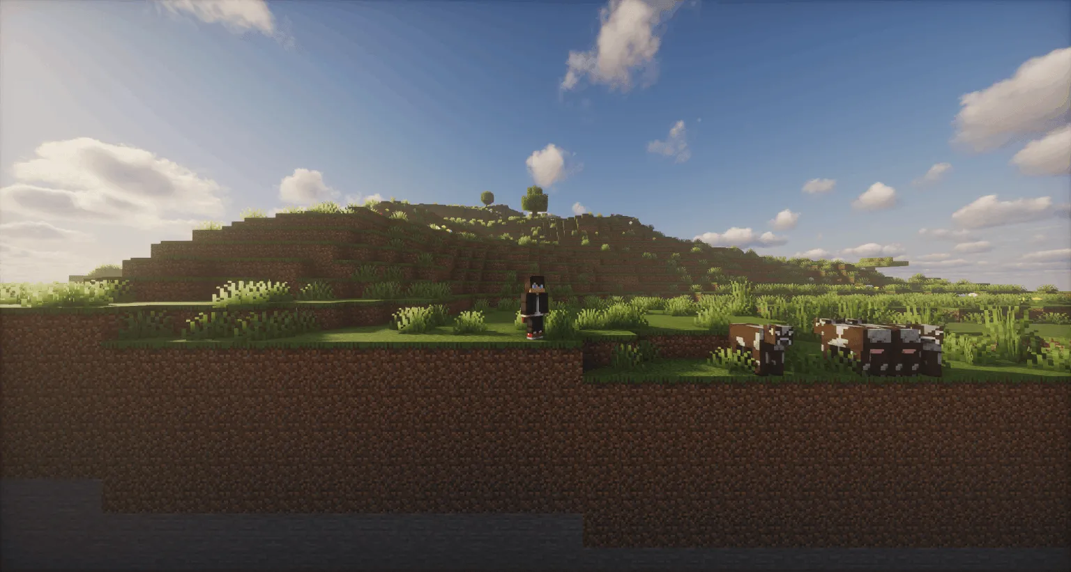 Two Dimensional: Reloaded, Моды, Minecraft