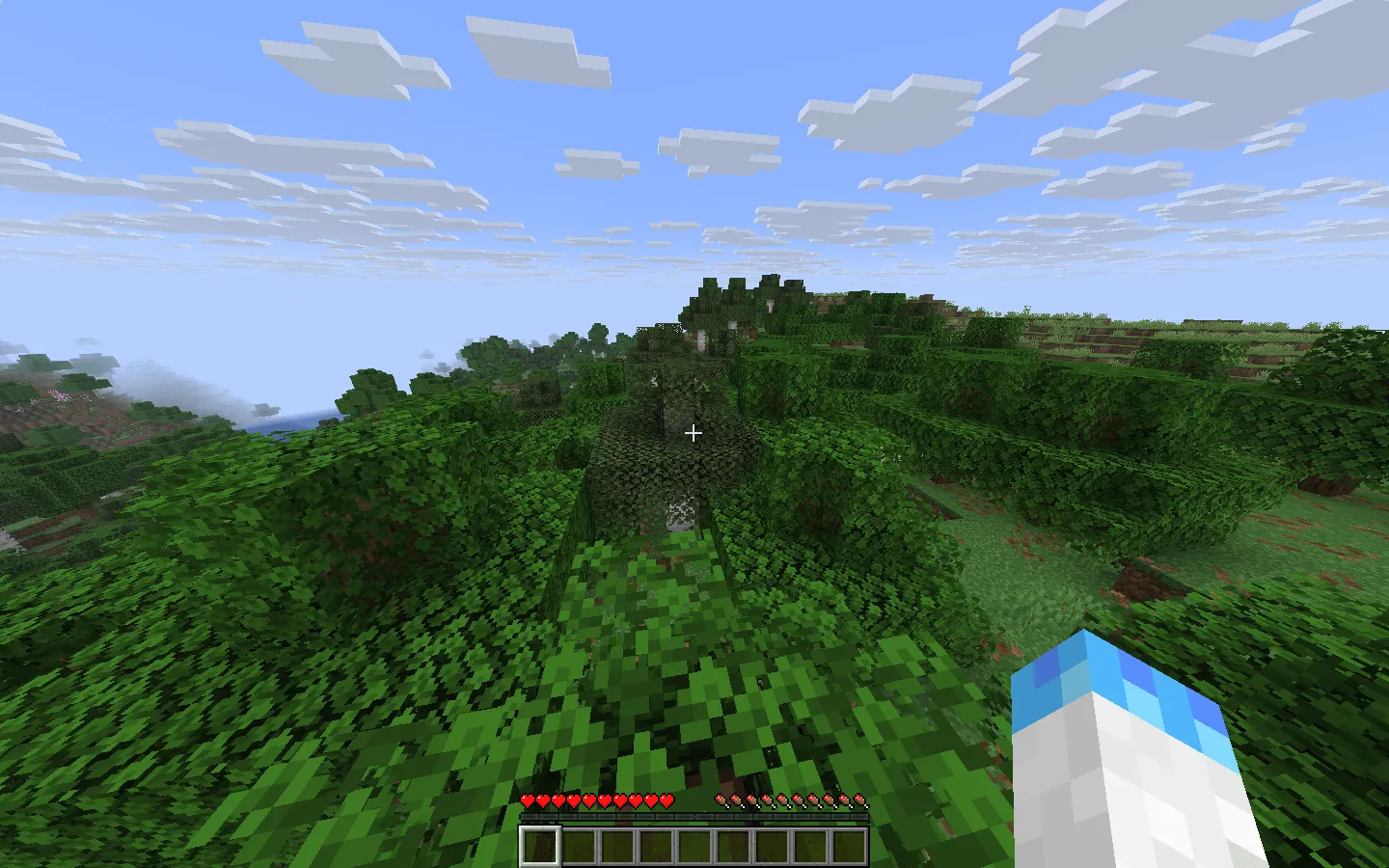 Show Coordinates, Моды, Minecraft