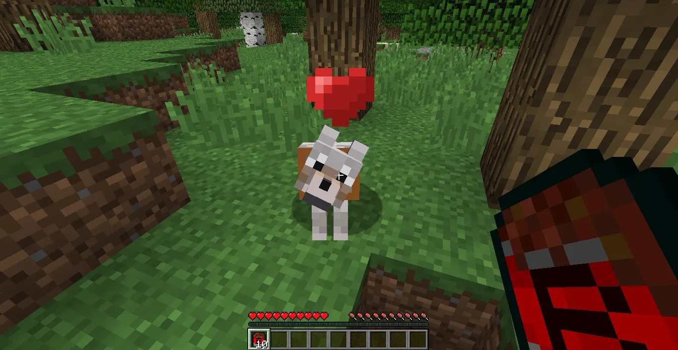 Flesh for Pets, Текстуры, Minecraft