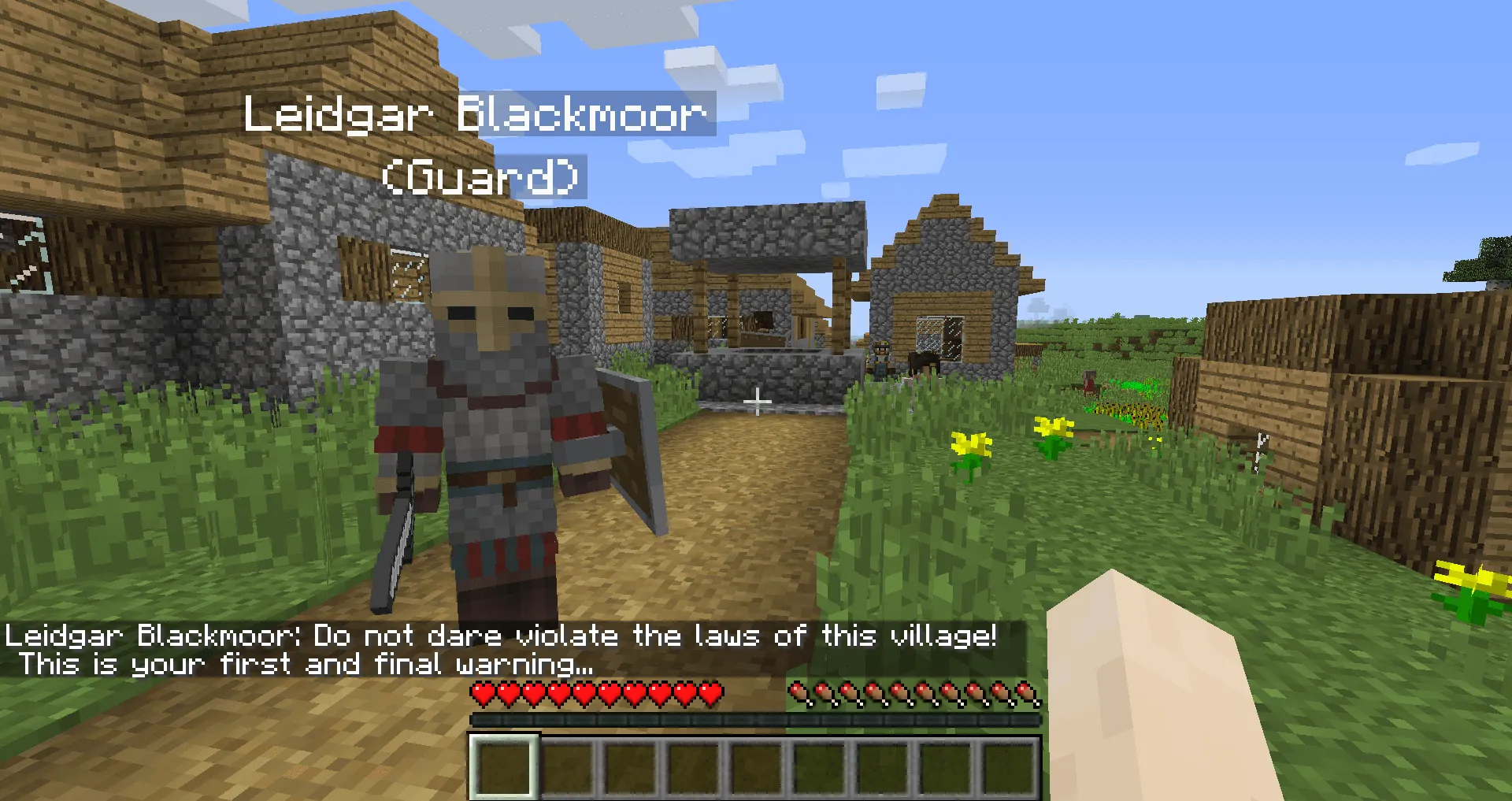 MetaNPC — скриншот 5 (Моды, Minecraft)