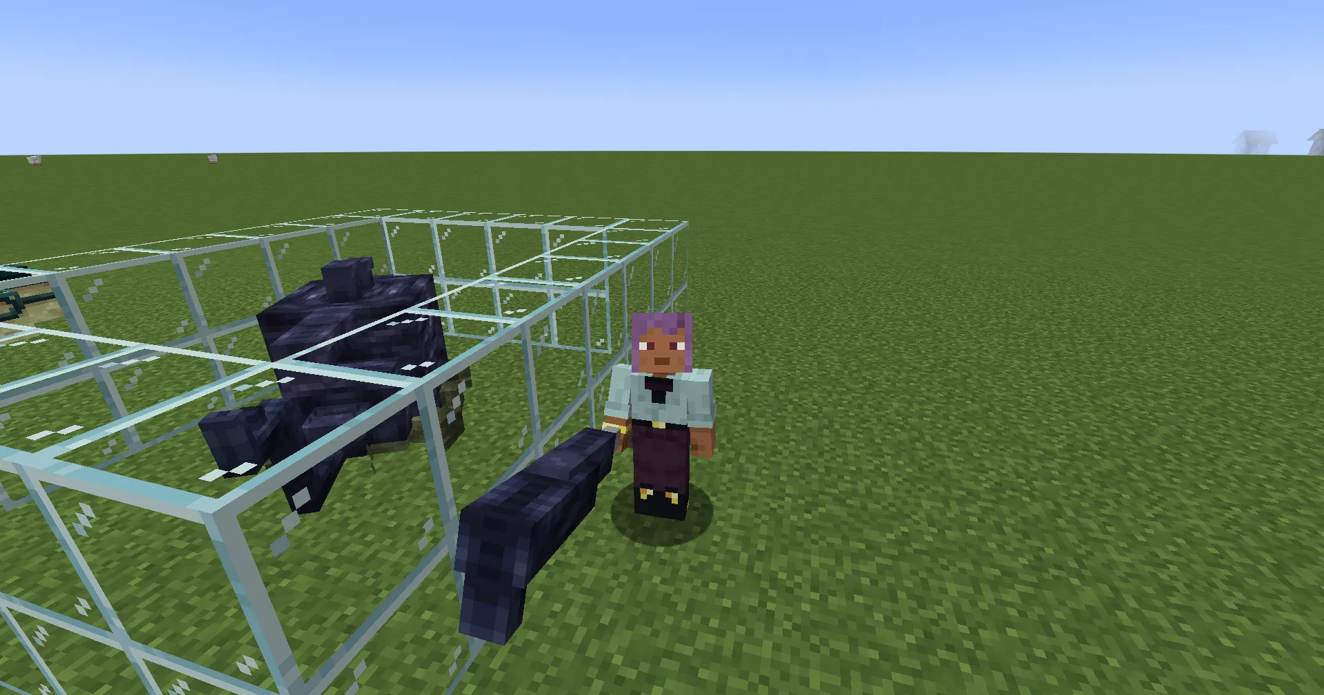 Ender Beetles, Моды, Minecraft