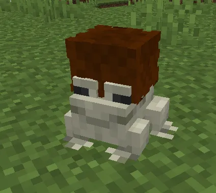 Zio's frogs, Текстуры, Minecraft