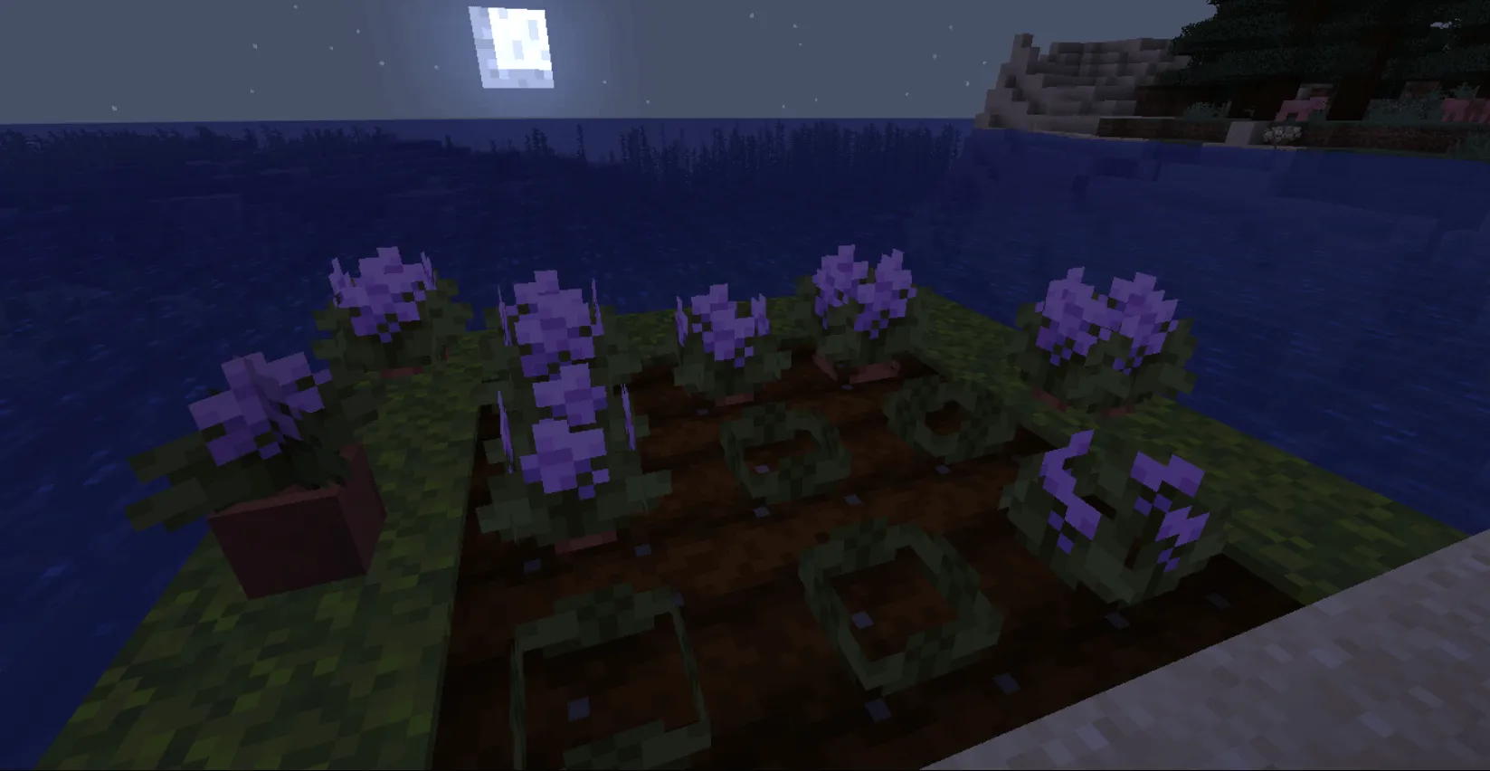Bon's Odds N' Ends — скриншот 3 (Моды, Minecraft)