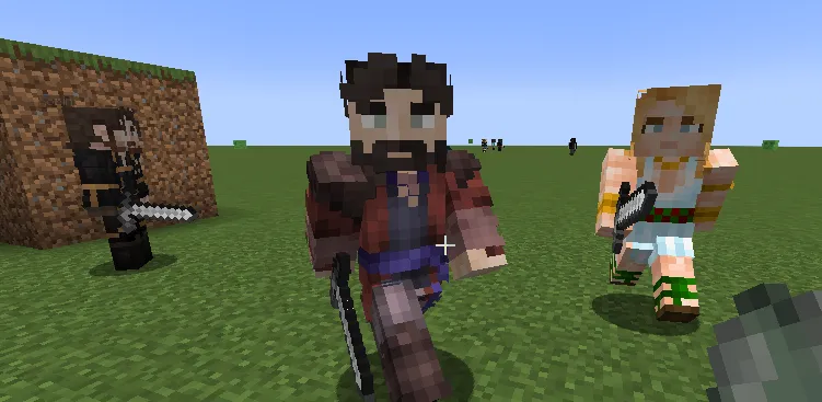 Zacian Companions, Моды, Minecraft