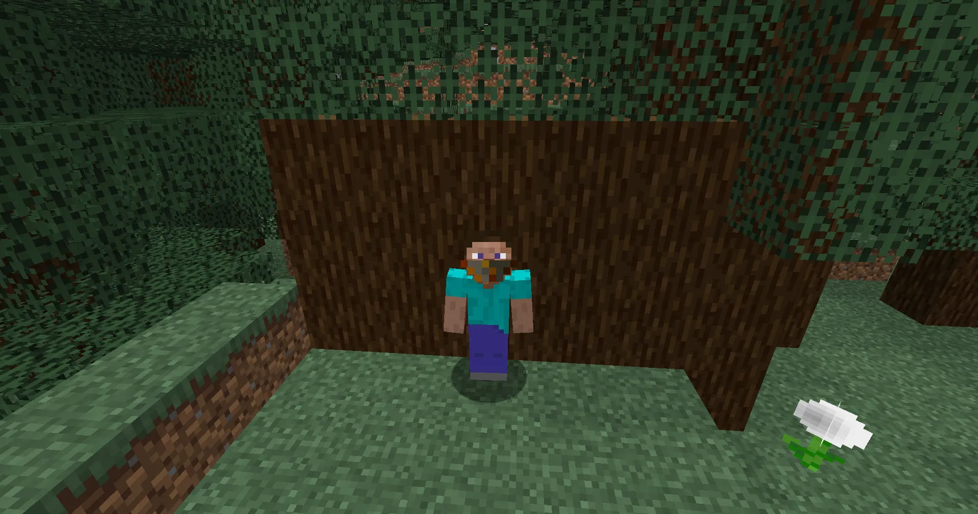 Dusk's Face Masks, Моды, Minecraft